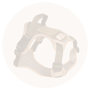 Body Fit Harness