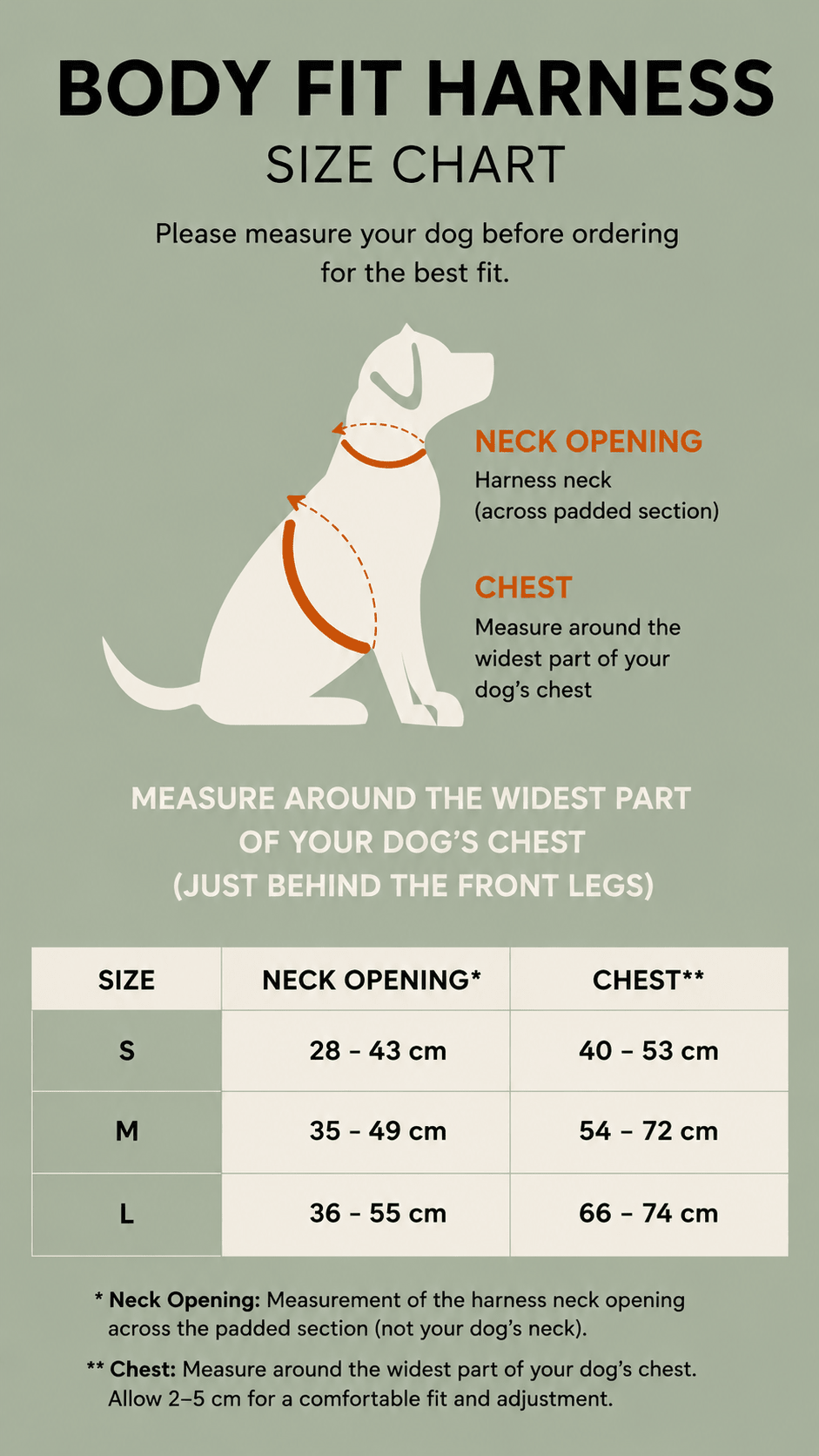 Body Fit Dog Harness Set – With Lead & Personalised Name Patch - Neighbourhood Dawgz