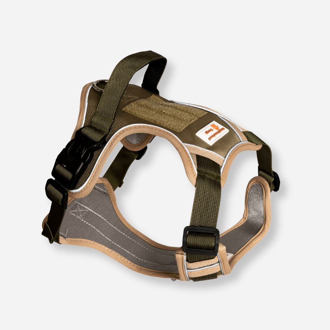 Khaki reflective body fit dog harness with padded chest and adjustable straps