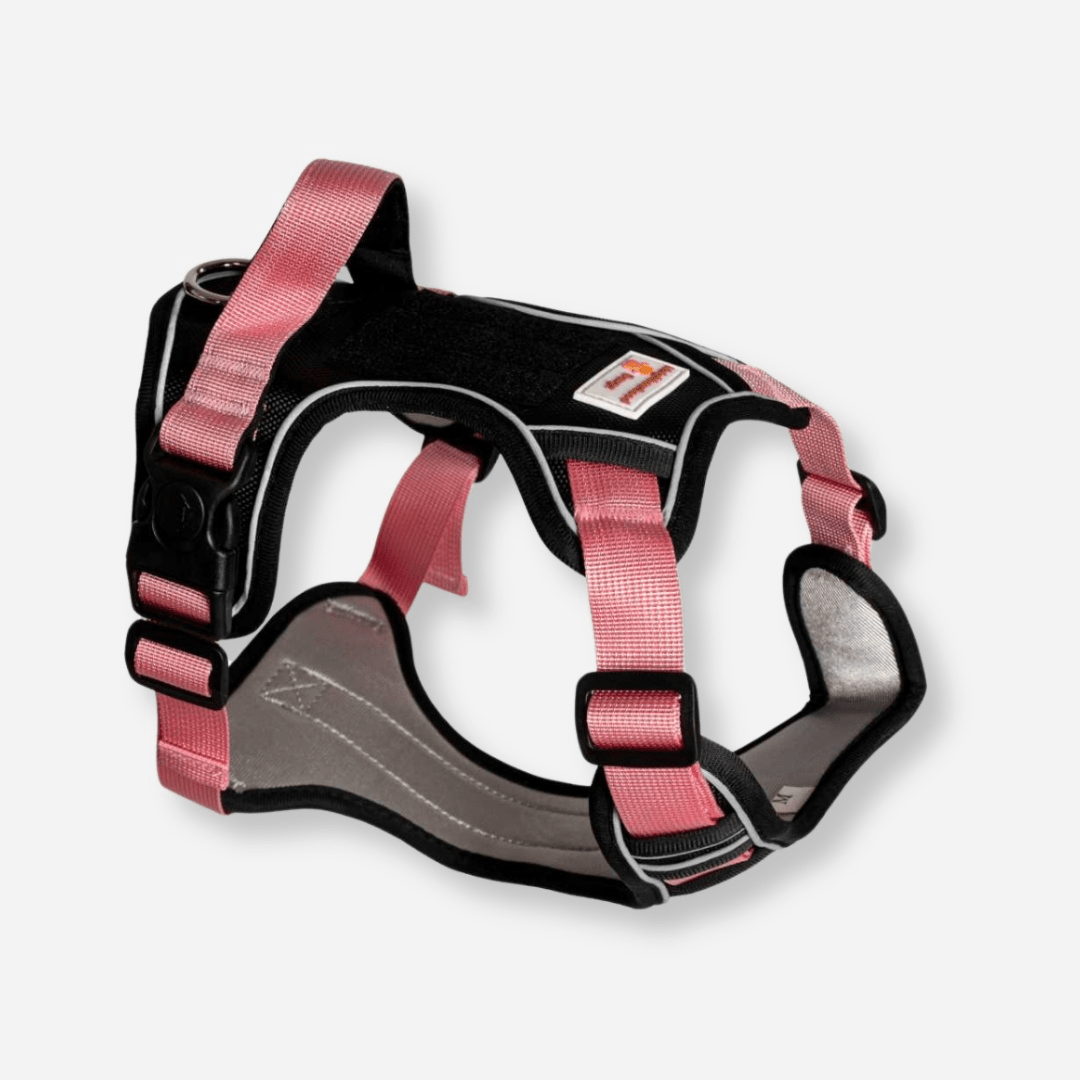 Pink reflective body fit dog harness with padded chest and adjustable straps