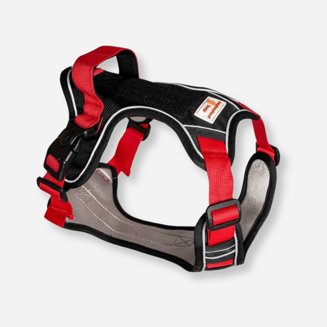 Red reflective body fit dog harness with padded chest and adjustable straps