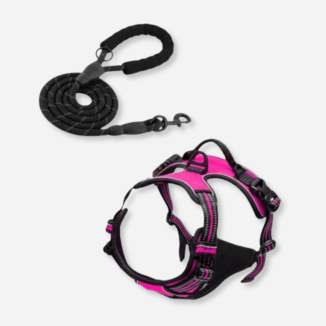 Rose Red reflective dog harness and leash set with no-pull design and safety handle