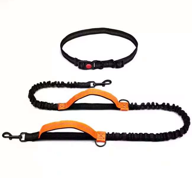 Orange hands-free dog leash for runners with durable bungee and waist strap