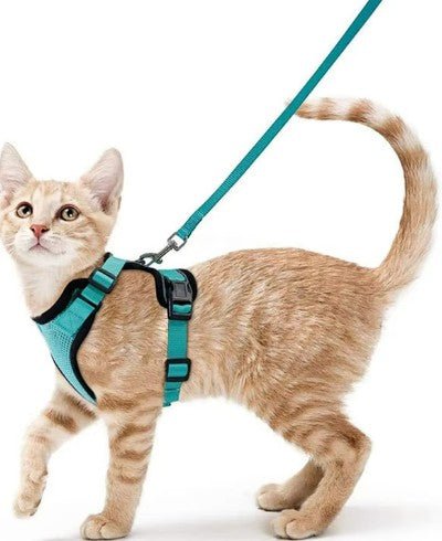 Teal adjustable pet  harness and leash set for walking safely
