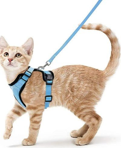 Light Blue adjustable pet  harness and leash set for walking safely