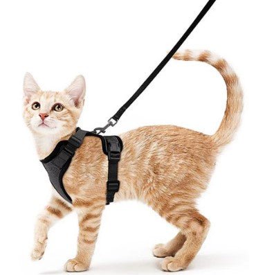 Black adjustable pet  harness and leash set for walking safely