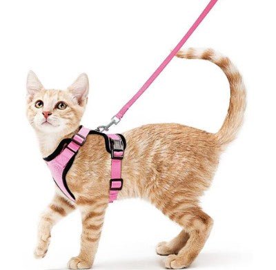 Pink adjustable pet  harness and leash set for walking safely