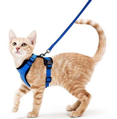 Blue adjustable pet  harness and leash set for walking safely