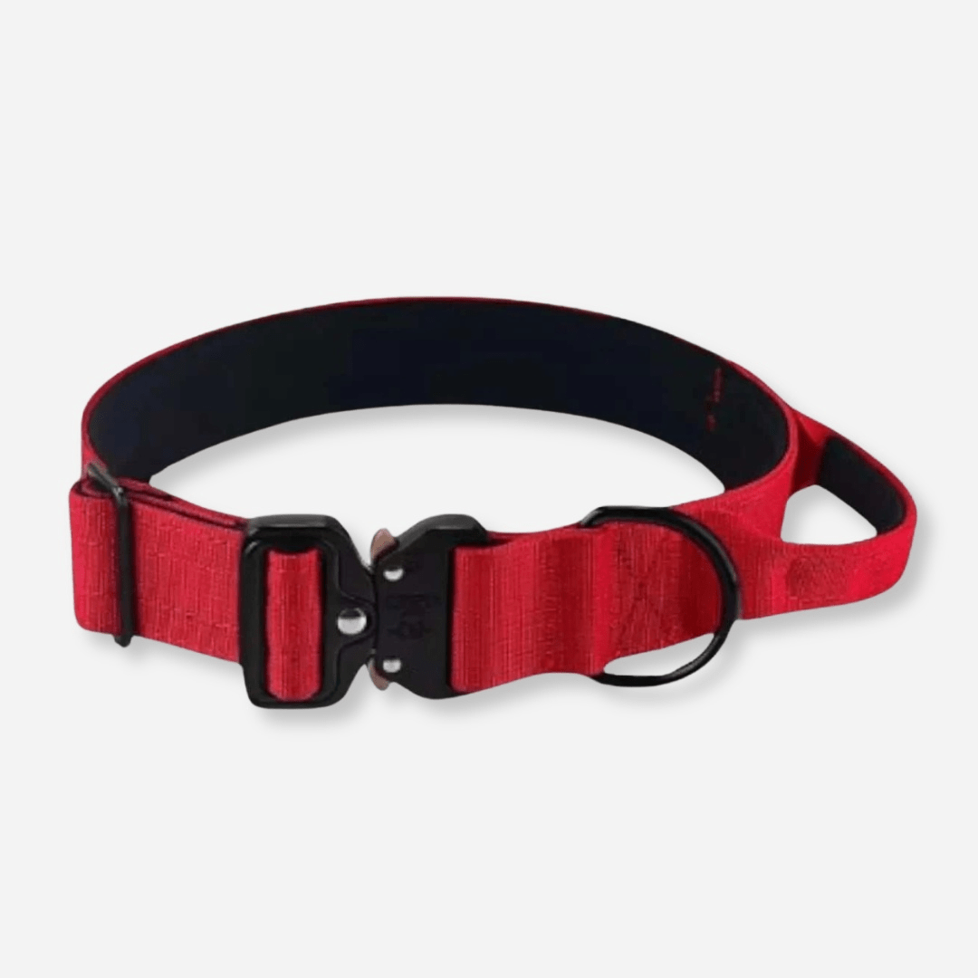 Red tactical dog collar with strong metal buckle and control handle