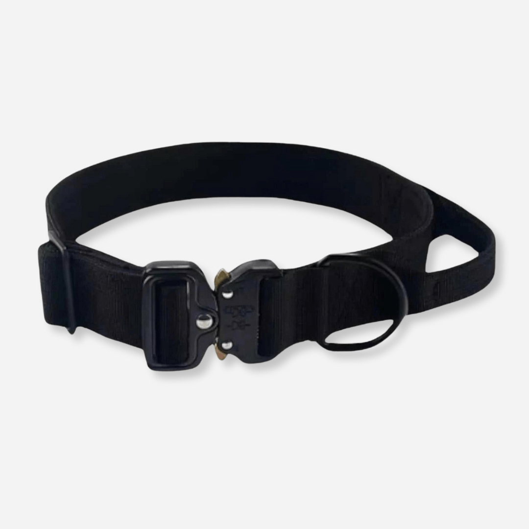 Black tactical dog collar with strong metal buckle and control handle