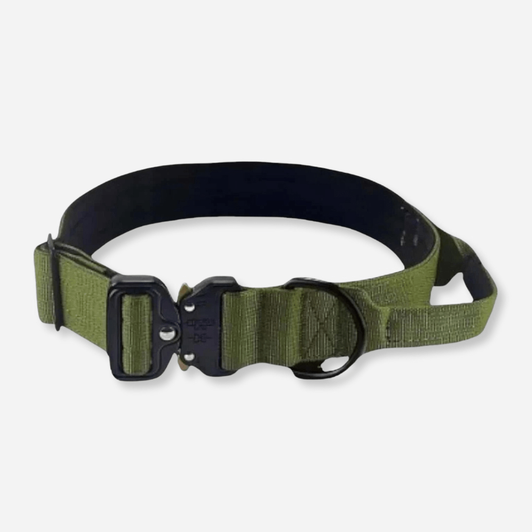 Green tactical dog collar with strong metal buckle and control handle