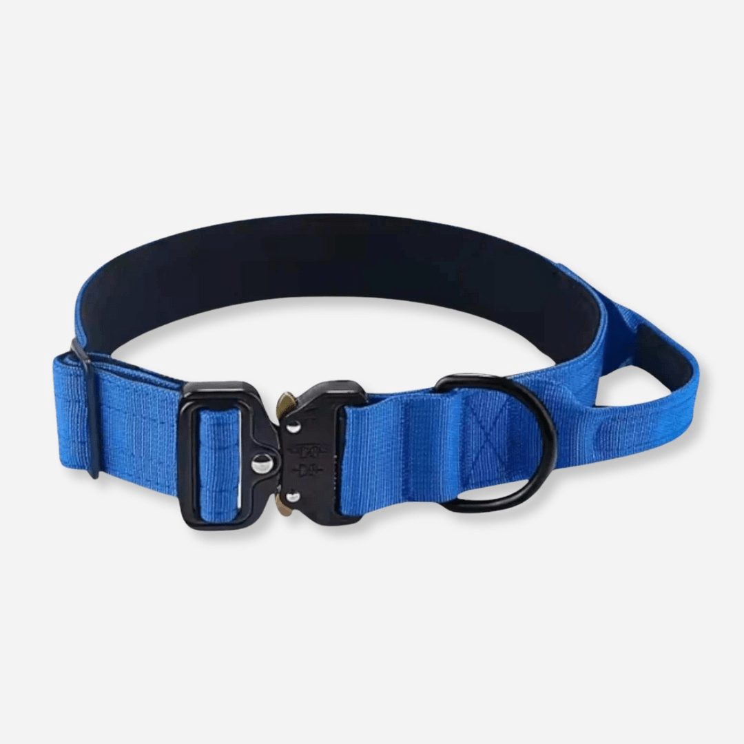 Blue tactical dog collar with strong metal buckle and control handle