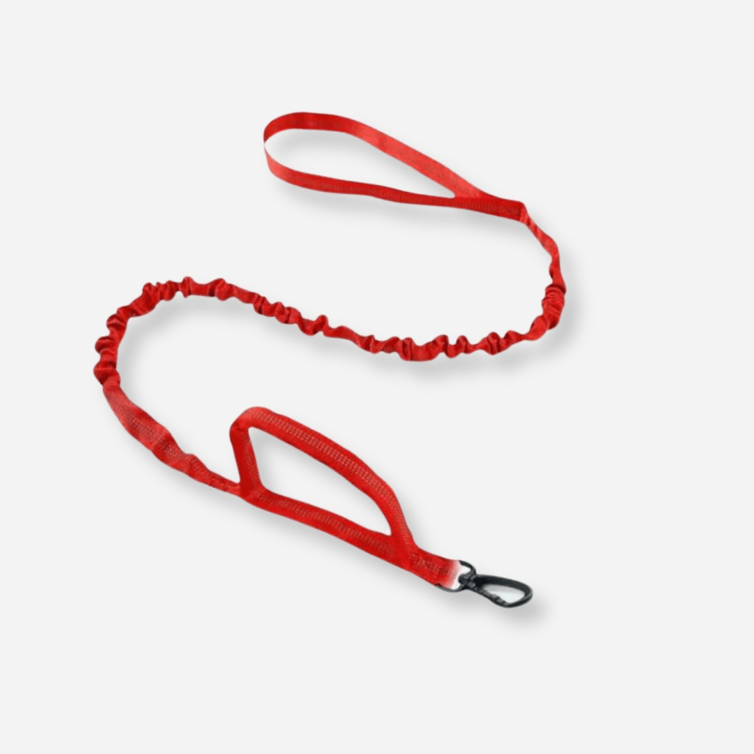 Red tactical dog leash with double handle and durable clip