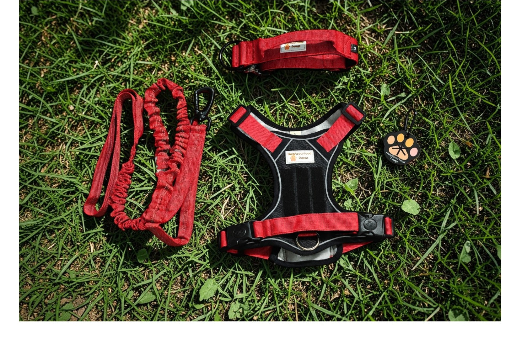 Dog Harness Sets | Harness & Lead Sets Australia – Neighbourhood Dawgz