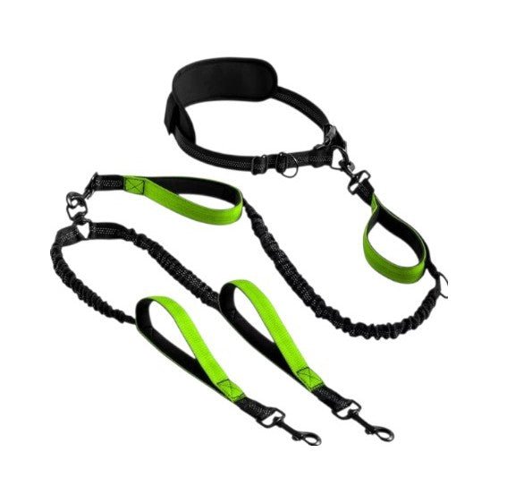 Adjustable green hands-free dog leash with dual clips and waist belt for runners