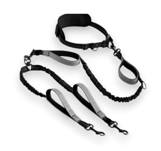 2 - in - 1 Hands - Free Dog Leash for Runners – Adjustable, No - Pull & Padded | Neighbourhood Dawgz - Neighbourhood Dawgz