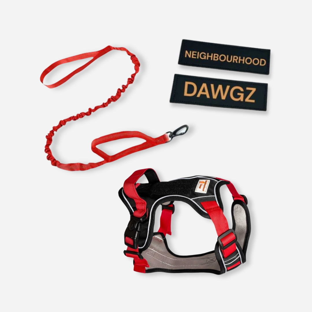 NEIGHBORHOOD DOG HARNESS グレー Dog Harness Body Fit Set – Adjustable, Reflective & Durable