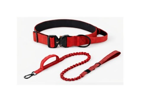 Tactical Collar & Bungee Lead Set