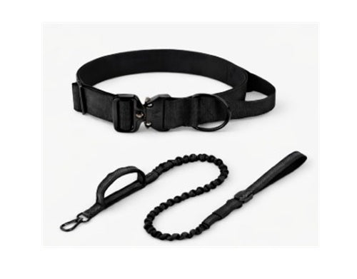 Tactical Collar & Bungee Lead Set
