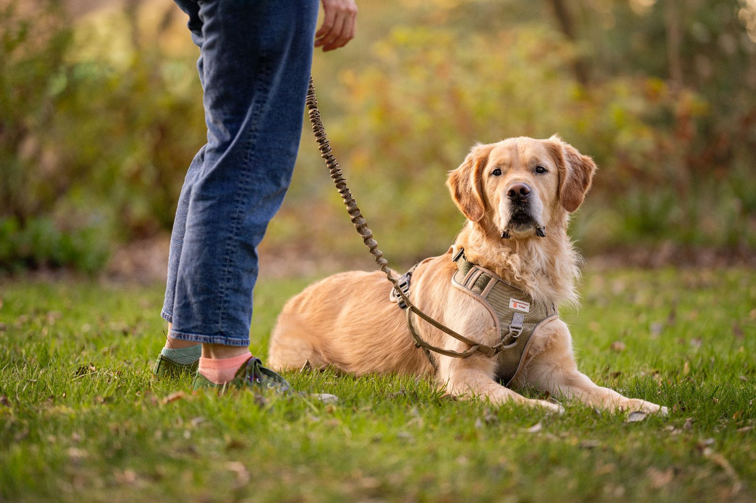 Body Fit Harness