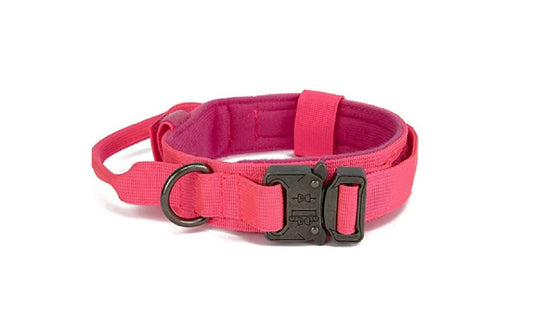 Tactical Dog Collar – CLEARANCE STOCK