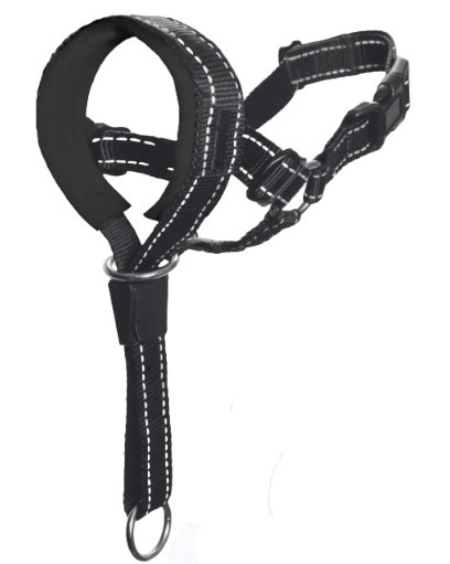 Dog head halter with safety strap, black, adjustable for secure fit, soft padding, versatile use.