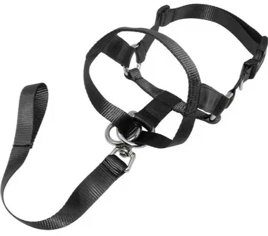 Dog Halter - Black