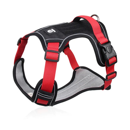 Dog Harness Body Fit – CLEARANCE STOCK