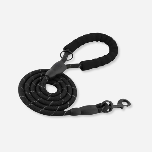 Reflective Dog Leash - Black