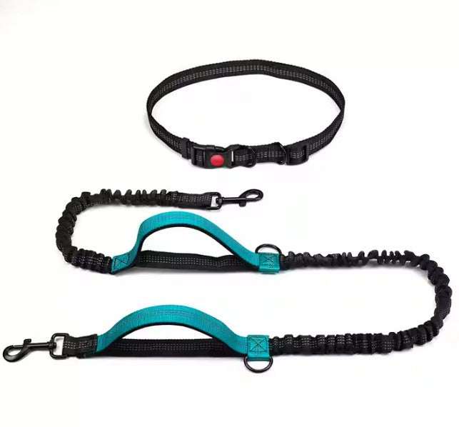 Hands-free dog leash for runners with adjustable waist belt, durable nylon, and elastic design.