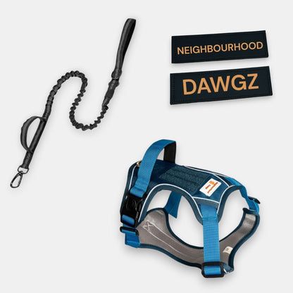Body Fit Dog Harness Set – With Lead & FREE Name Patch - Neighbourhood Dawgz
