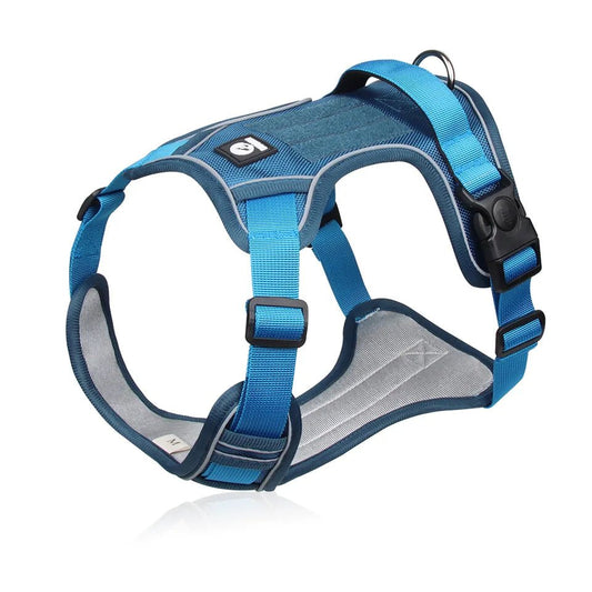 Dog Harness Body Fit – CLEARANCE STOCK - Neighbourhood Dawgz