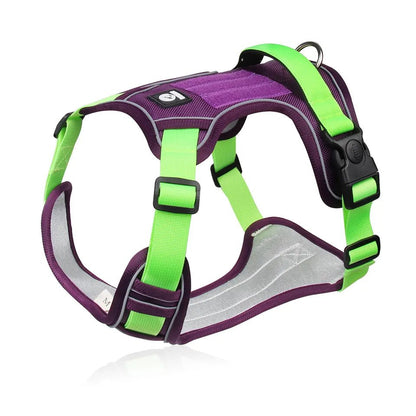 Purple/Green reflective body fit dog harness with padded chest and adjustable straps