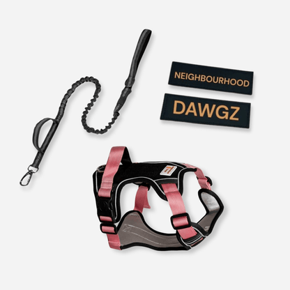 Pink reflective body fit dog harness with matching leash and custom velcro patch