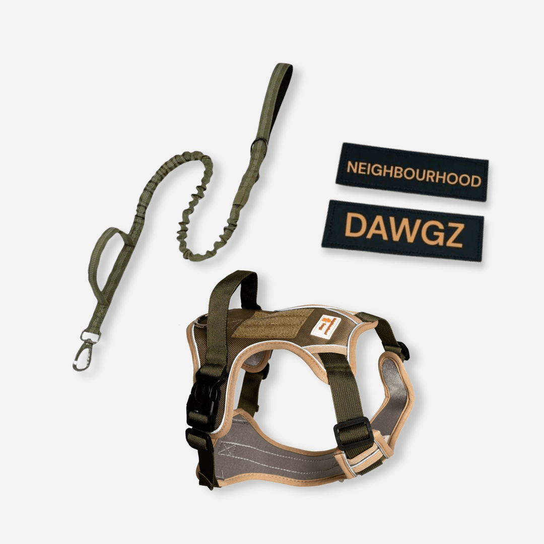 Khaki reflective body fit dog harness with matching leash and custom velcro patch