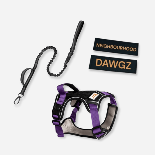 Dog Harness Body Fit Set – Adjustable, Reflective & Comfortable for All Sizes - Neighbourhood Dawgz