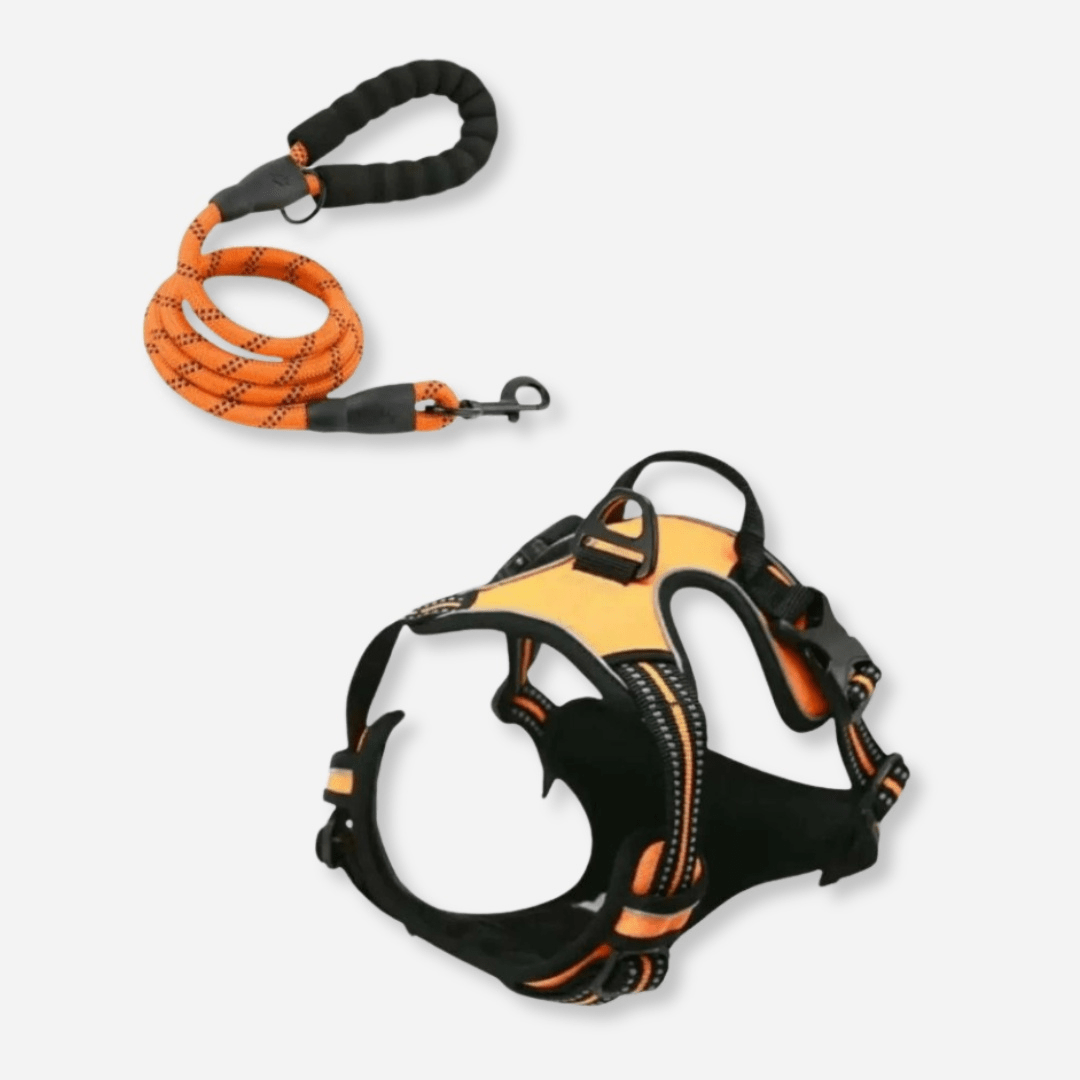 Orange reflective dog harness and leash set with no-pull design and safety handle