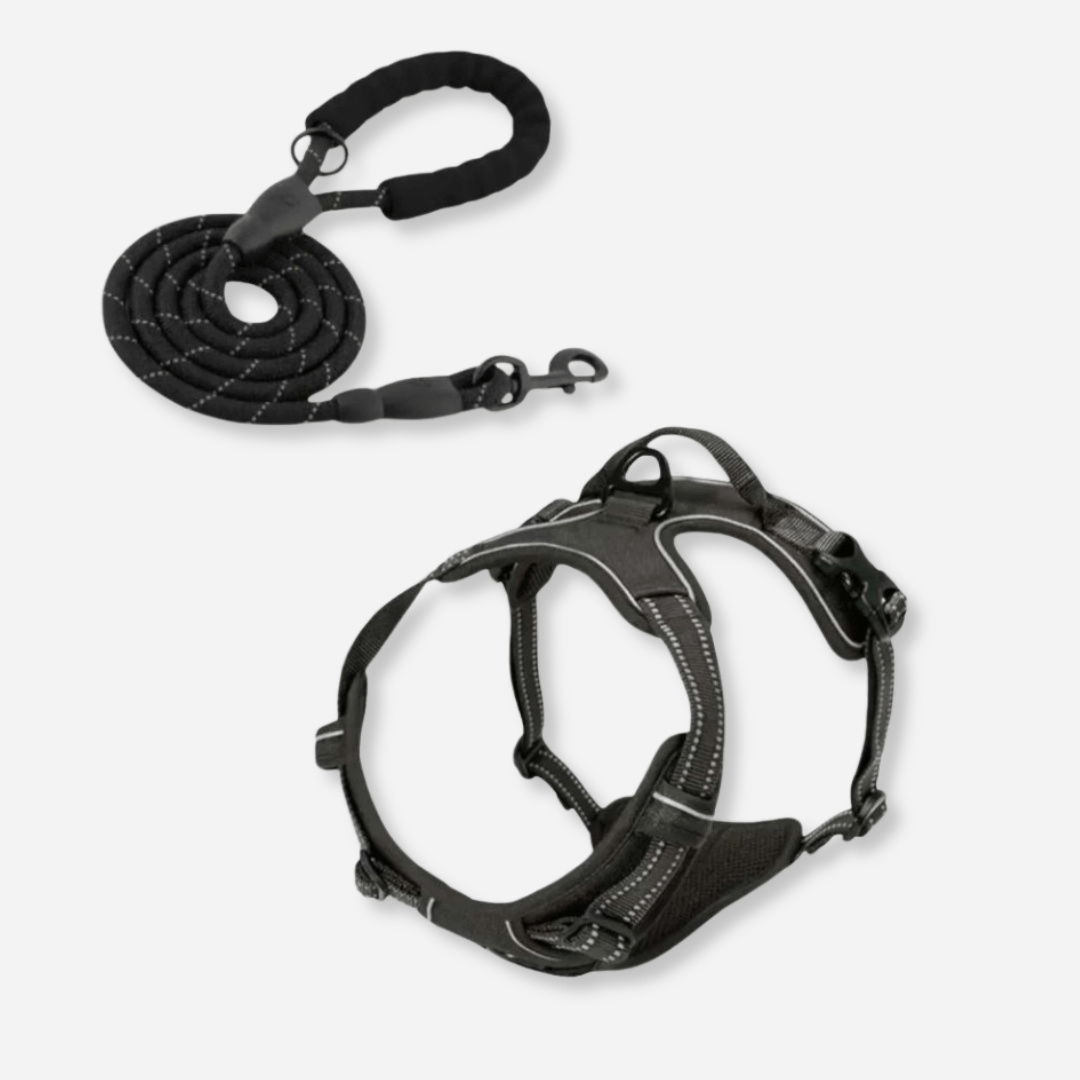 Black reflective dog harness and leash set with no-pull design and safety handle
