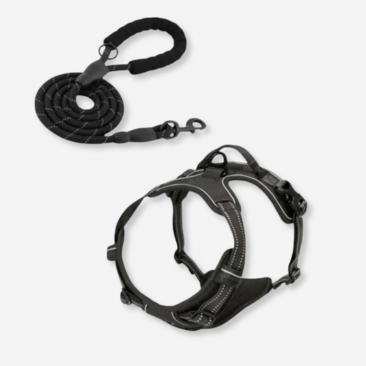 Dog Harness Reflective Form Fit Set – Adjustable, Safe & Comfortable for All Sizes - Neighbourhood Dawgz