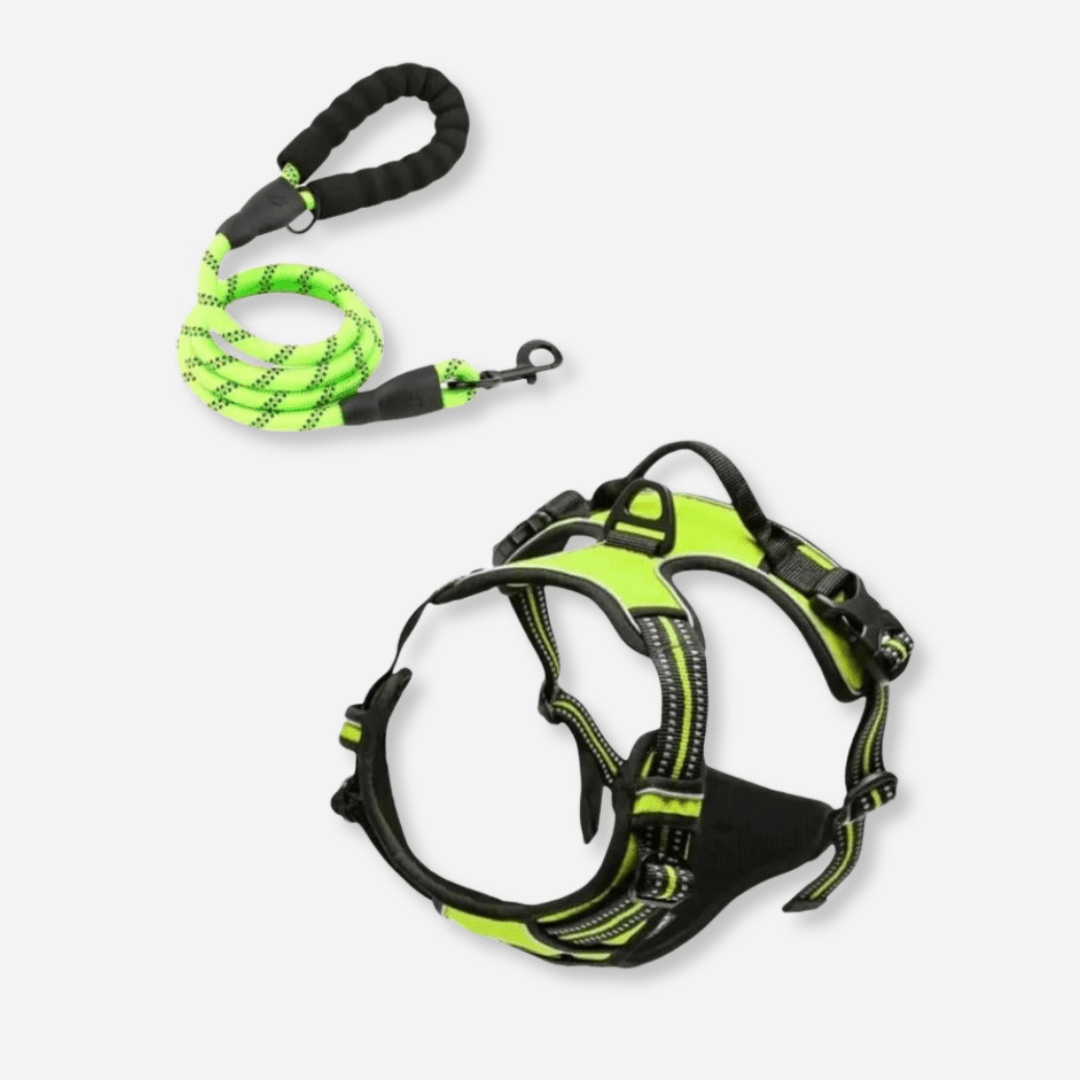 Green reflective dog harness and leash set with no-pull design and safety handle