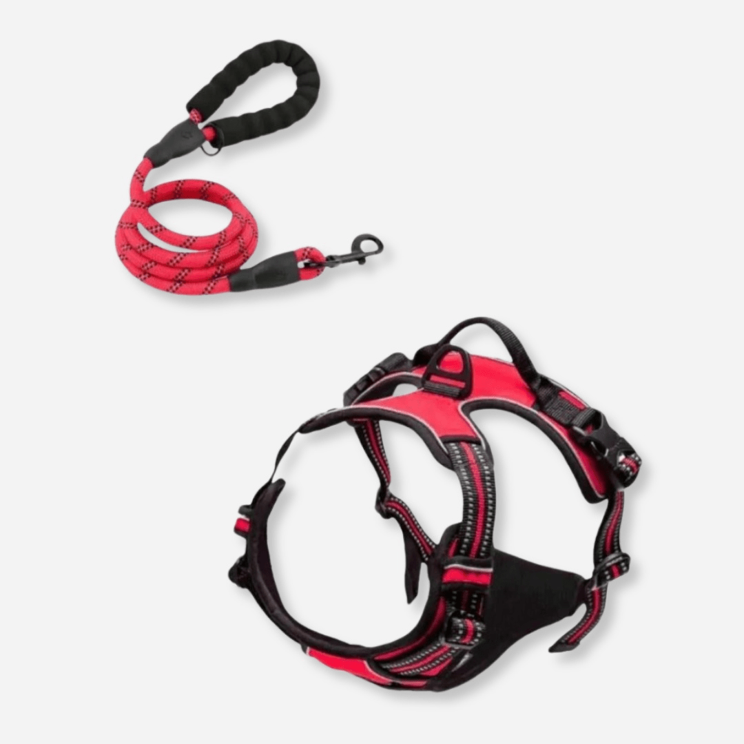 Red reflective dog harness and leash set with no-pull design and safety handle