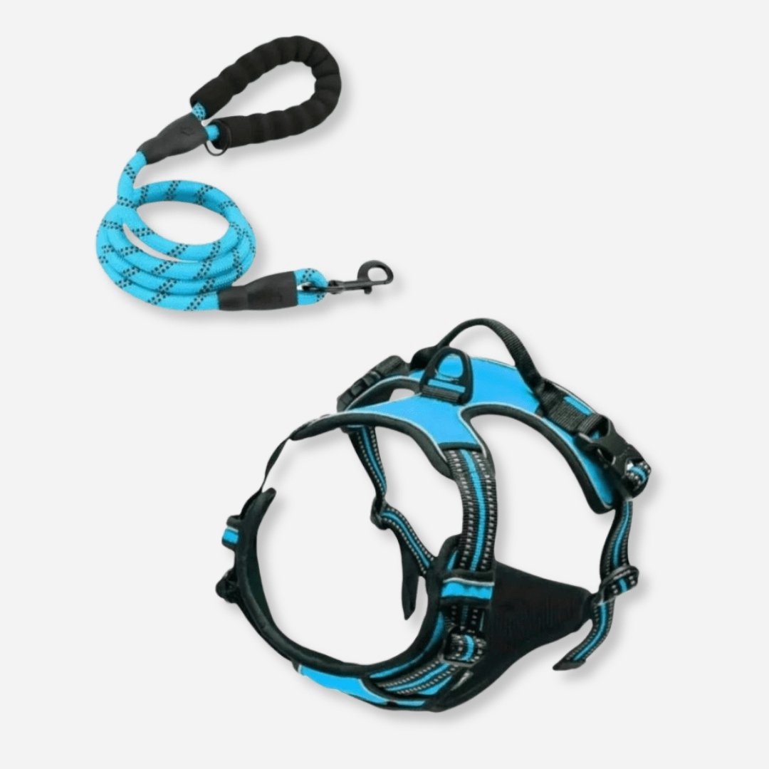 Blue reflective dog harness and leash set with no-pull design and safety handle