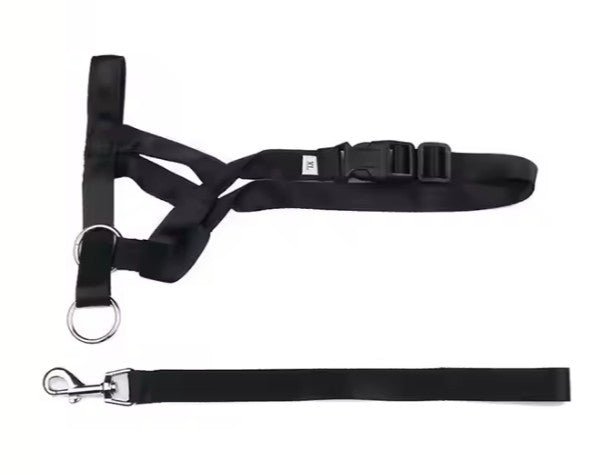 Dog Head Halter with Leash – Adjustable, Padded & No - Pull Control for Training - Neighbourhood Dawgz