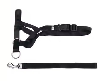 Dog Head Halter with Leash – Adjustable, Padded & No - Pull Control for Training - Neighbourhood Dawgz