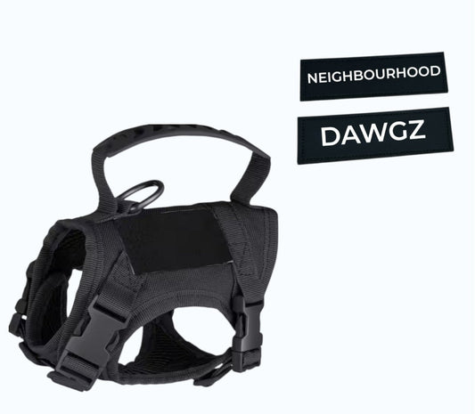 Extra Small Tactical Dog Harness – Adjustable, Breathable & Secure for Small Breeds - Neighbourhood Dawgz
