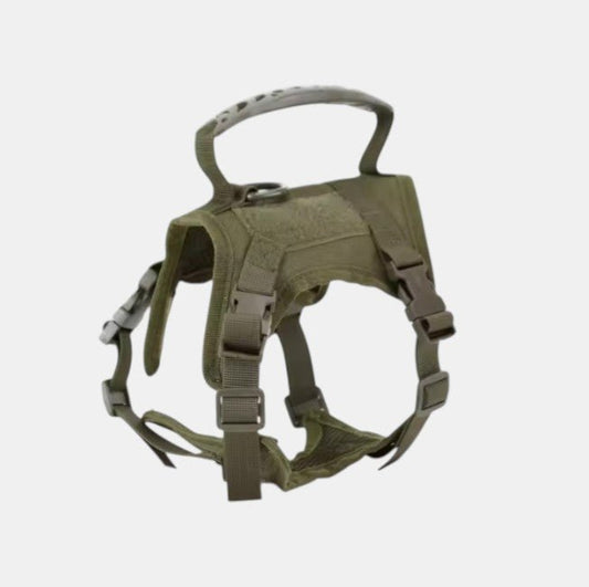 Extra Small Tactical Dog Harness – Adjustable, Breathable & Secure for Small Breeds - Neighbourhood Dawgz