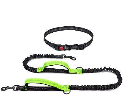 Greenhands-free dog leash for runners with durable bungee and waist strap