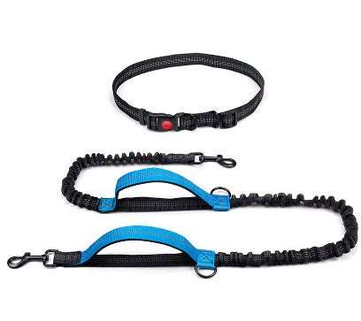 Blue hands-free dog leash for runners with durable bungee and waist strap