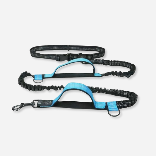 Dog Leash - Hands Free For Runners