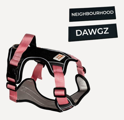No - Pull Body Fit Dog Harness – Adjustable, Reflective & Comfortable | Includes Personalised Velcro Patch - Neighbourhood Dawgz